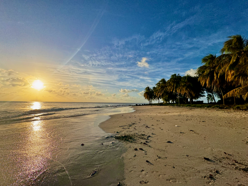 Big Corn at sunset on beach