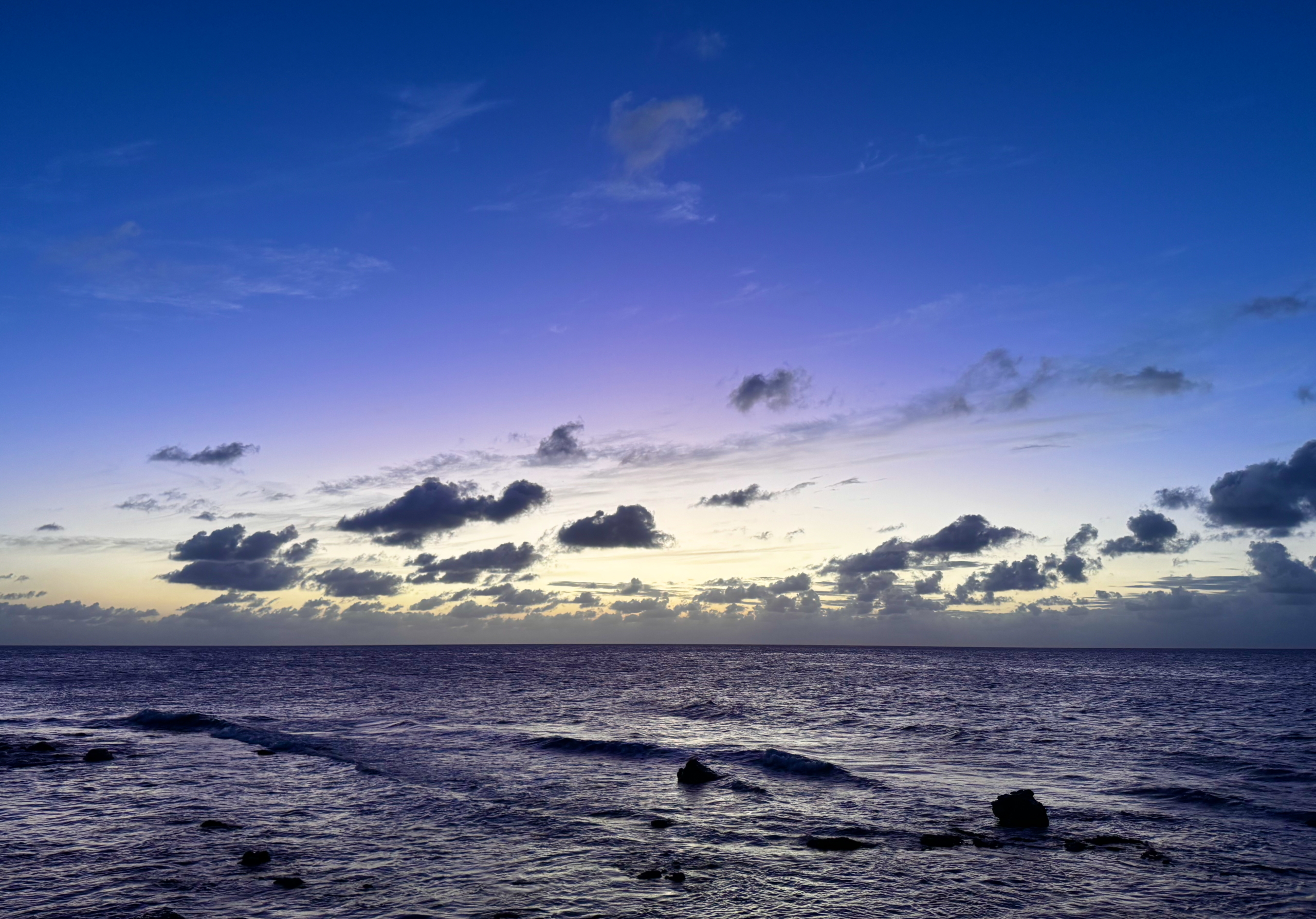 The Purple Sea