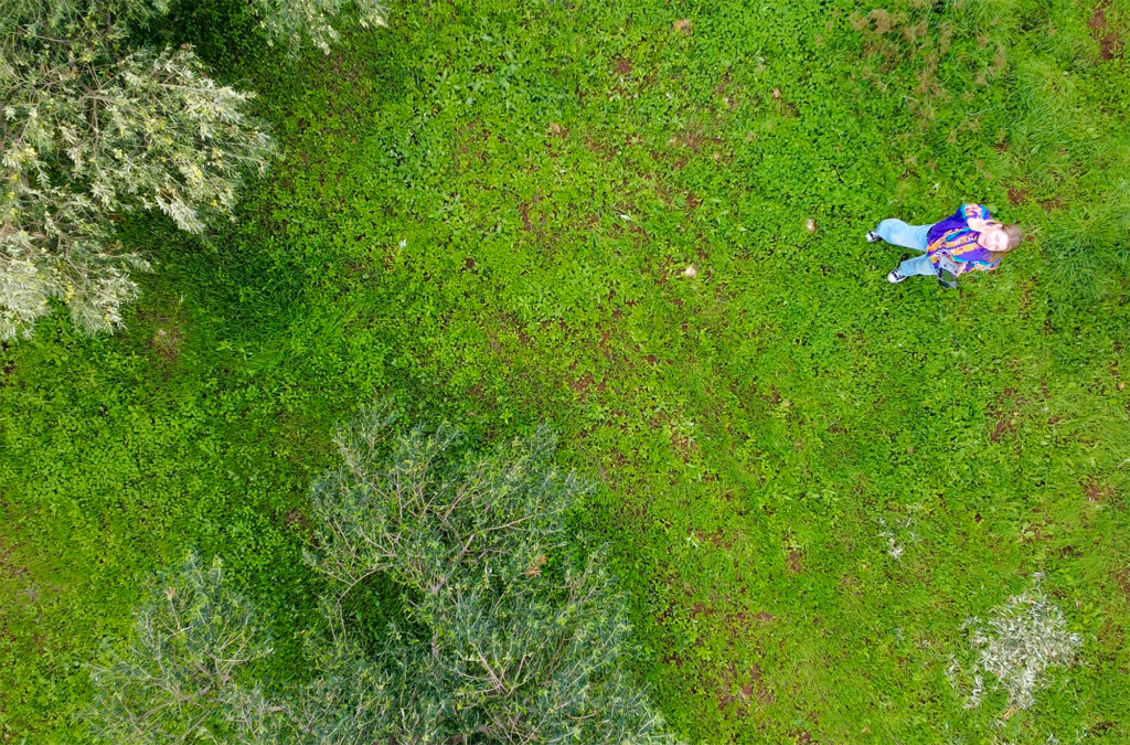 Kendal in an olive grove