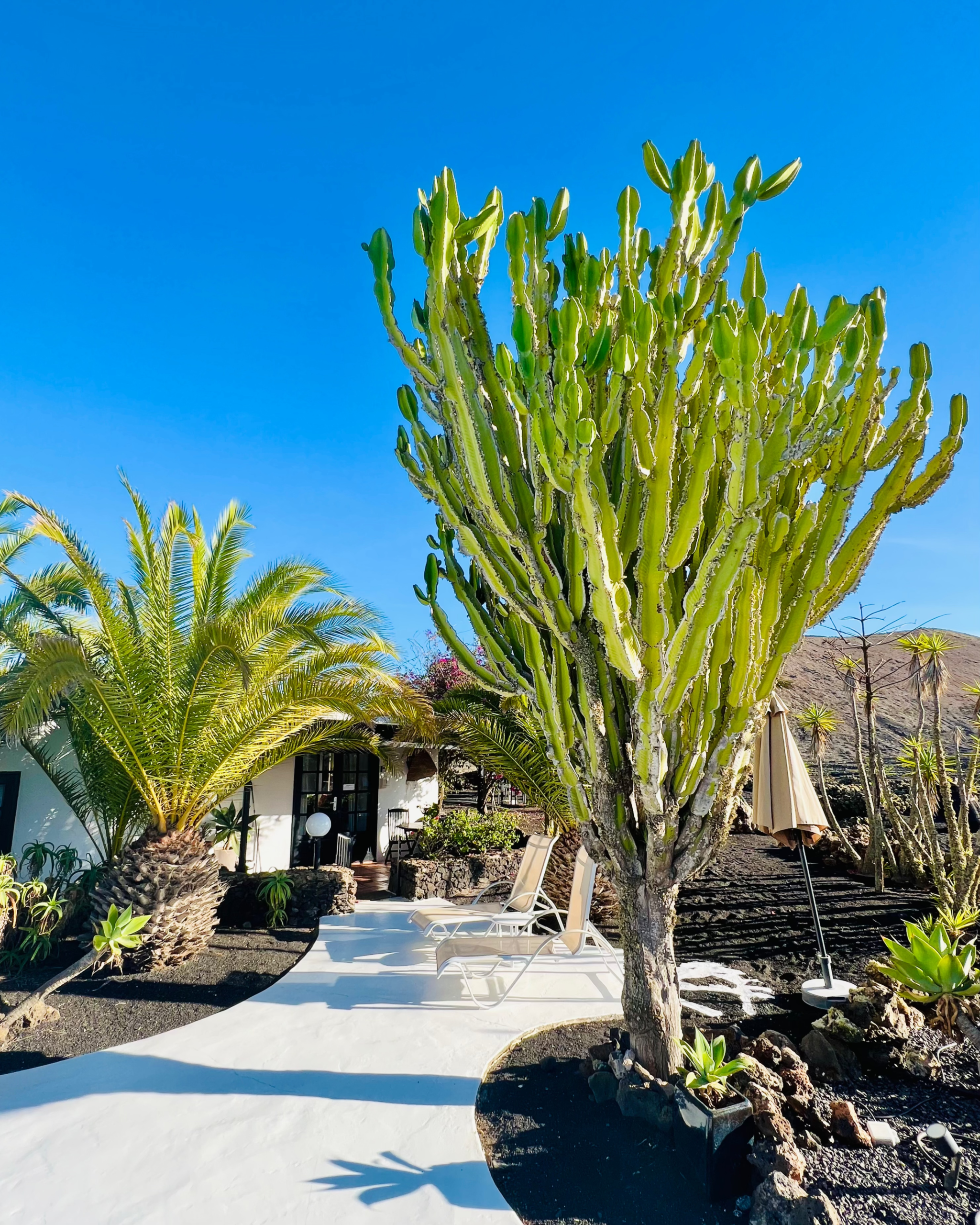 Finca Malvasia, Lanzarote