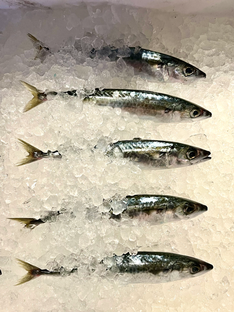 Athens Seafood market