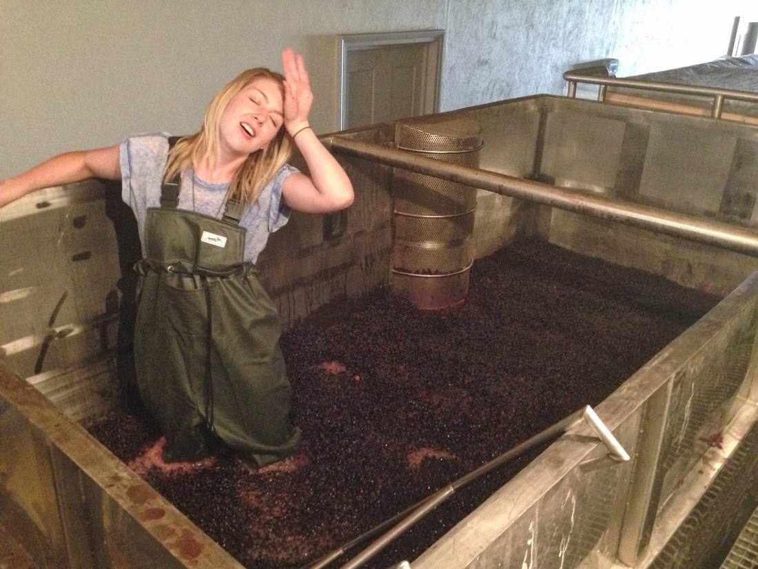 Kendal Montgomery in waders, knee-deep in a fermenter of red grapes, hand to her forehead