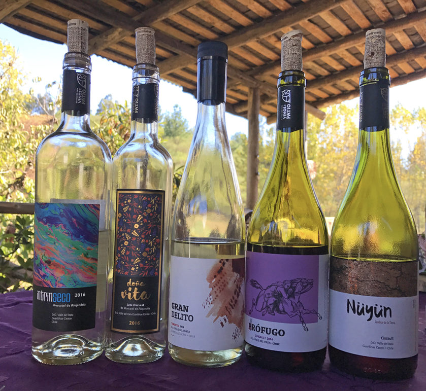 Guarilihue and Vinos de Patio