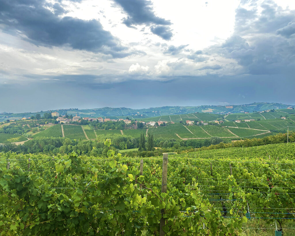 Langhe