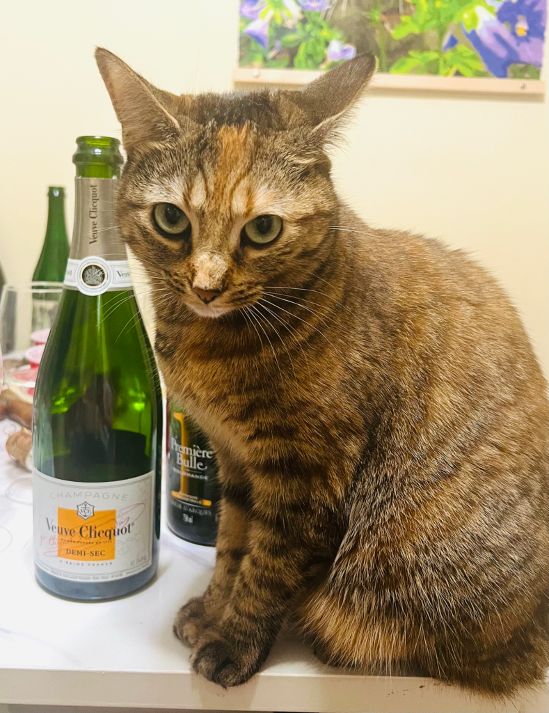 cats and wine