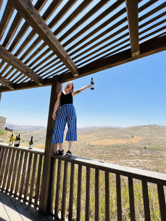 The State of Israeli Wine