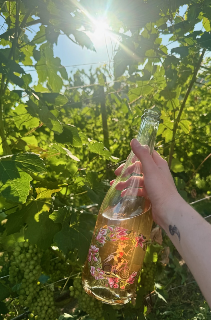 Nostalgia dell'Attimo Fuggente Pas Dosé Rosato