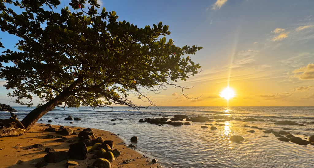 Postcard from Corn Island