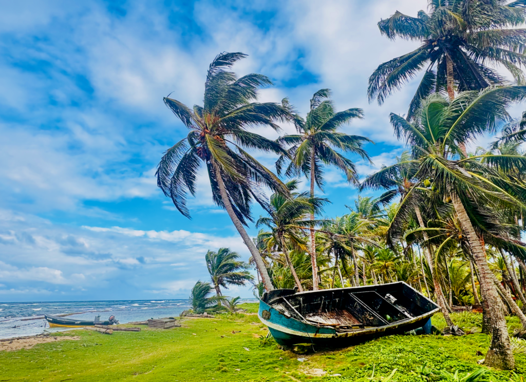Deserted boat