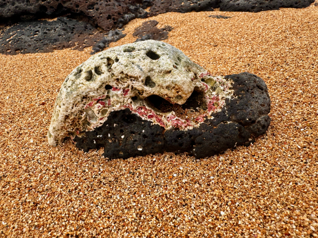 cool rock corn island