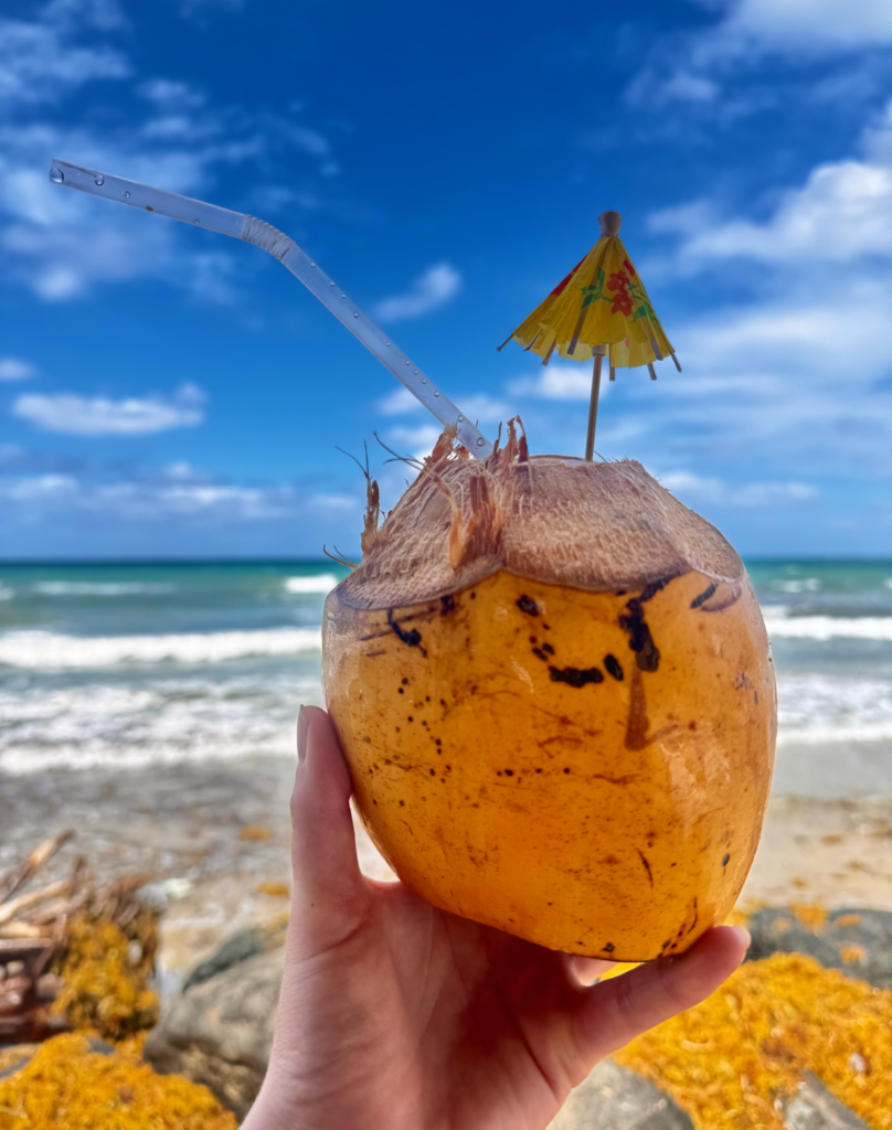 Coconut water