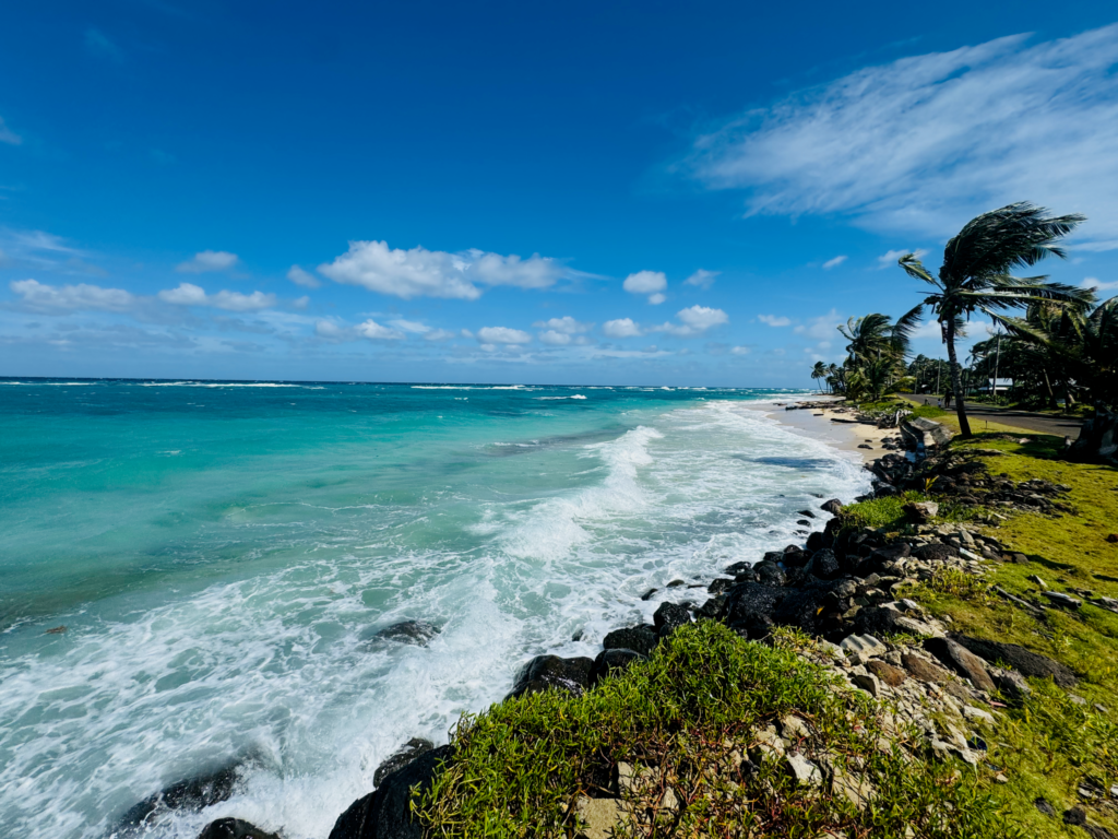 Corn Island coast