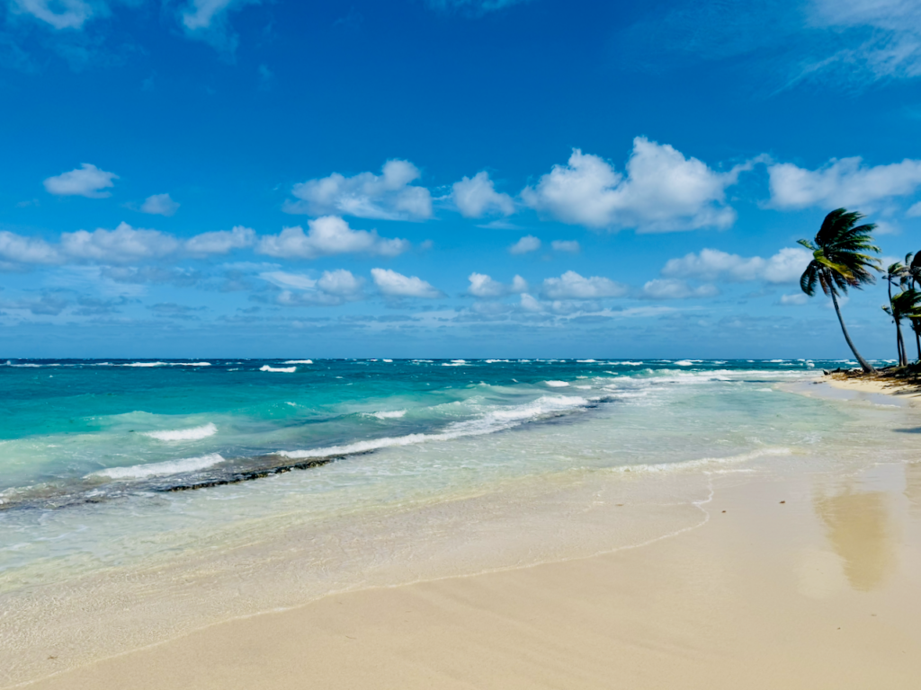 Sally Peachy Beach